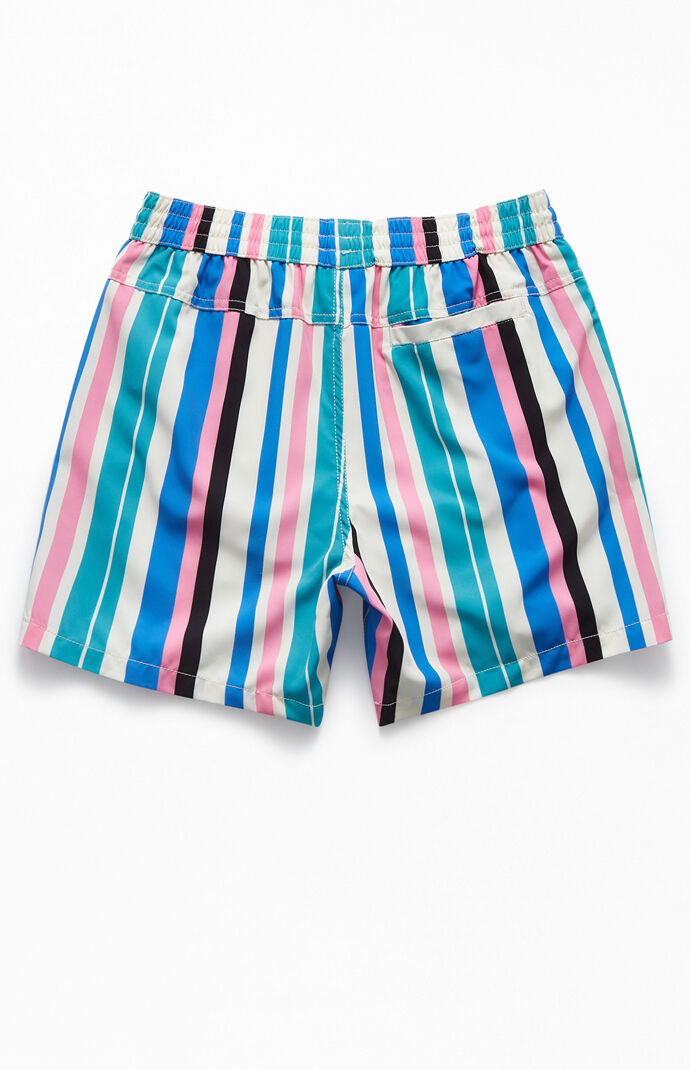 Beach Dweller Striped 18" Swim Trunks