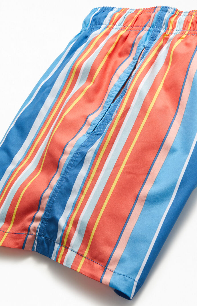 Multicolored Striped 17" Swim Trunks