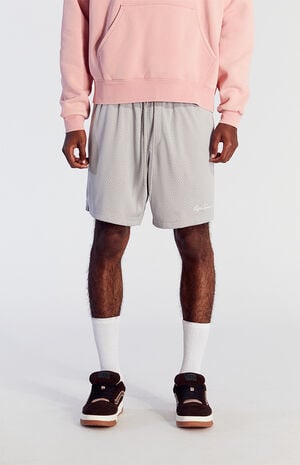 Gray Pacific Sunwear Aaron Mesh Volley Shorts image number 2