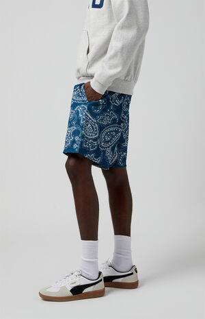 Blue Aaron Paisley Mesh Volley Shorts image number 4