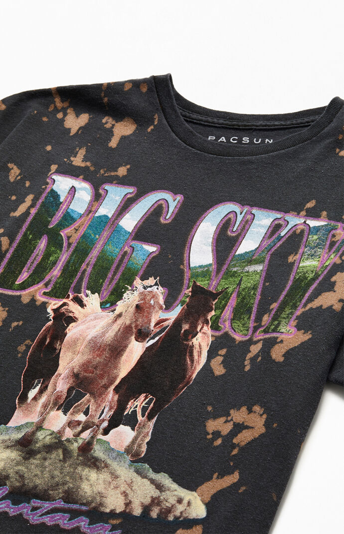 Big Sky Vintage Bleach T-Shirt