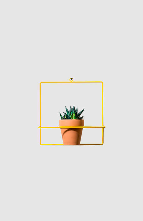 Yellow Square Wall Planter