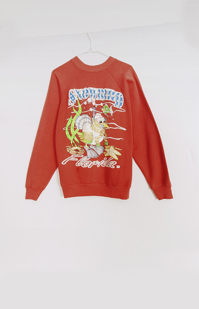 Snowbird sweatshirt top