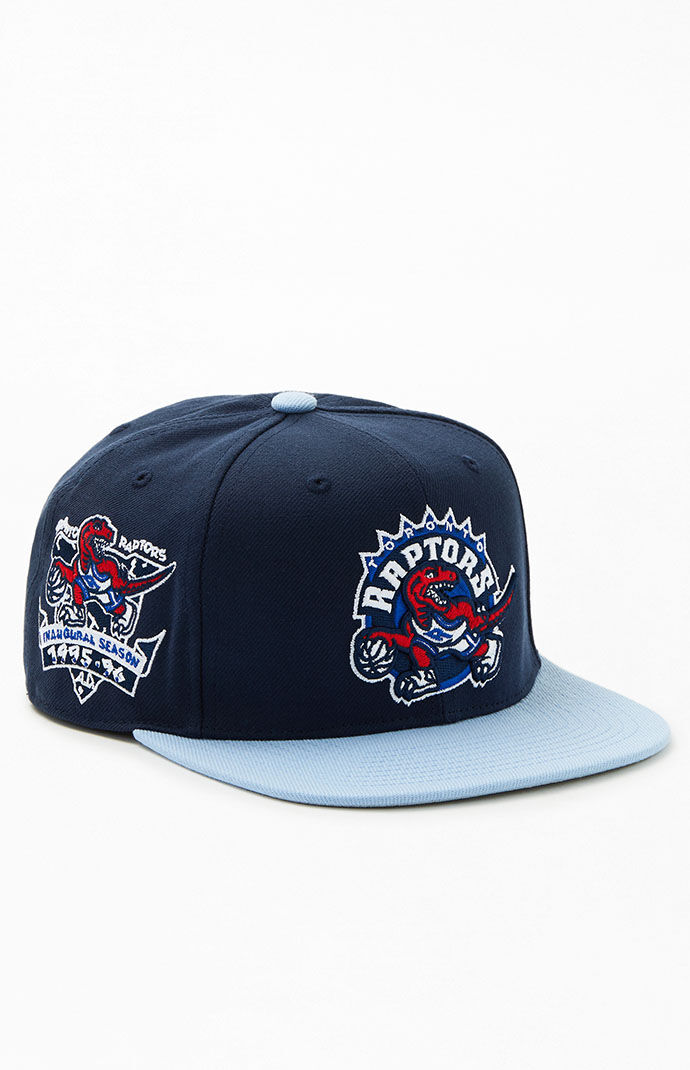 Fitted shop raptors hat