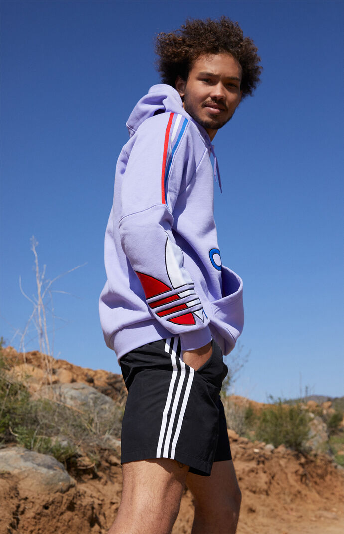 Purple Tricolor Hoodie