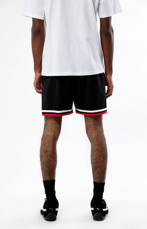 Chicago Bulls Jump Shot Mesh Shorts image number 4