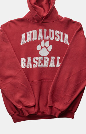 2000s Andalusia Baseball Russell Hoodie image number 4