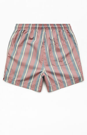 Brown Cannes Striped 4.5" Swim Trunks image number 2