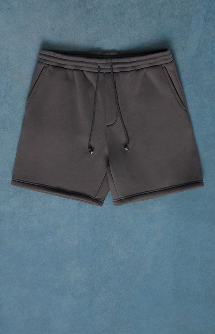 Pacsun Gray Fleece Volley Sweat Shorts