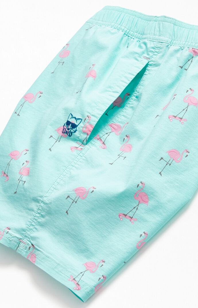Cruiser 16" Swim Trunks