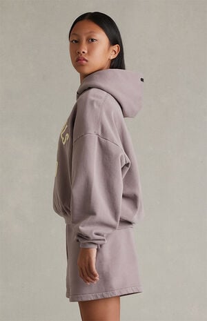 Kids Faded Mauve Campus '90s Hoodie image number 3