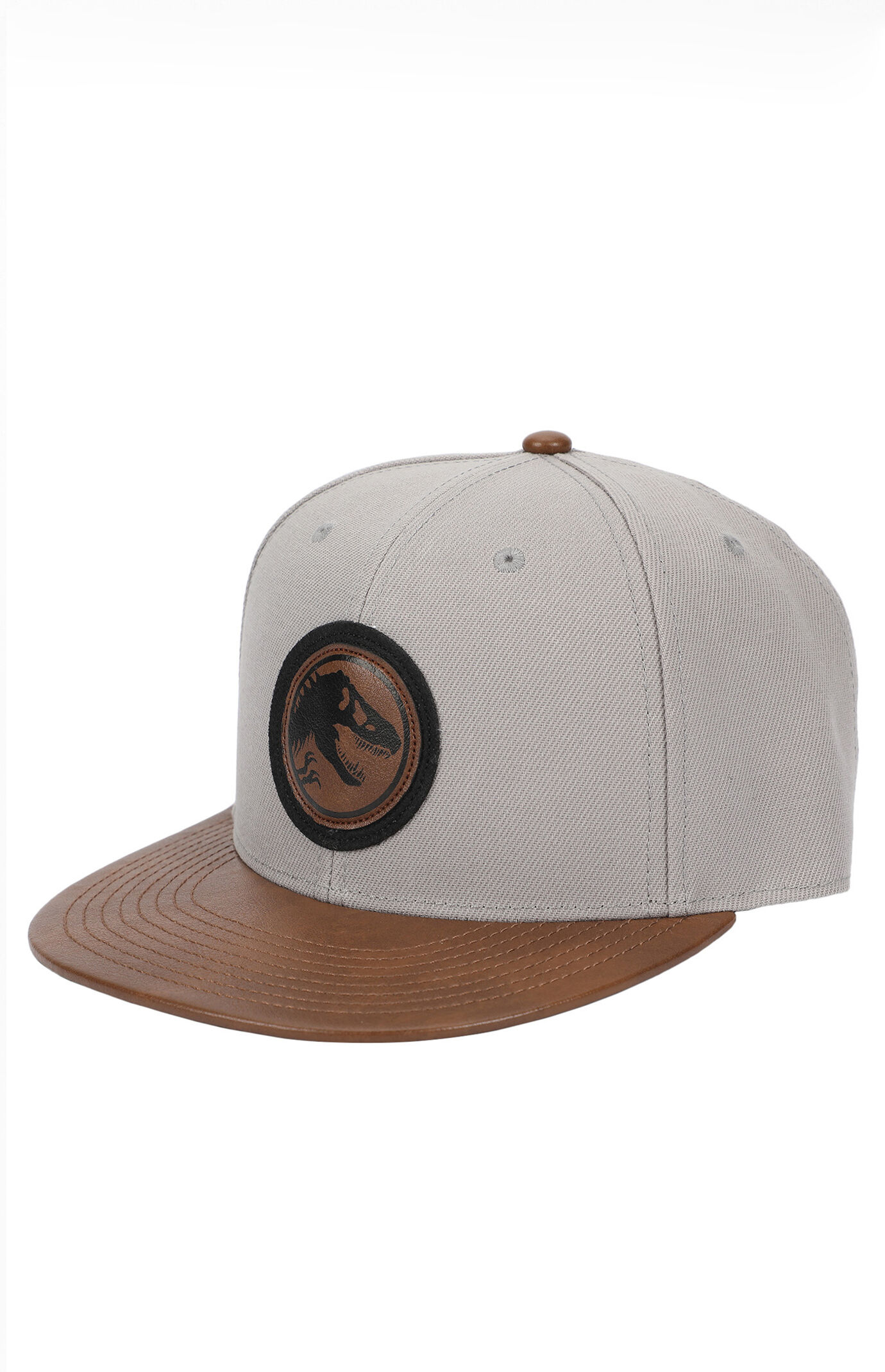 Snapback Hats | Pacsun