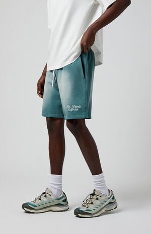 Green Potassium Fleece Volley Sweat Shorts image number 4
