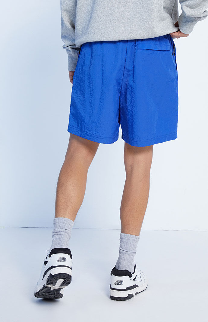 Pacsun champion best sale nylon shorts
