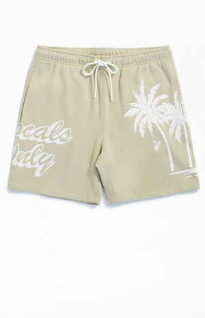 By PacSun Locals Only Sweat Shorts image number 1