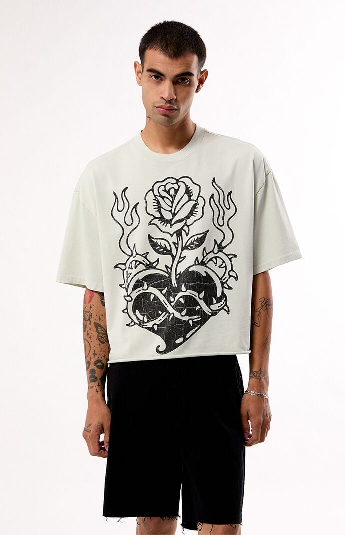 Pacsun Heartfelt Cropped T-Shirt