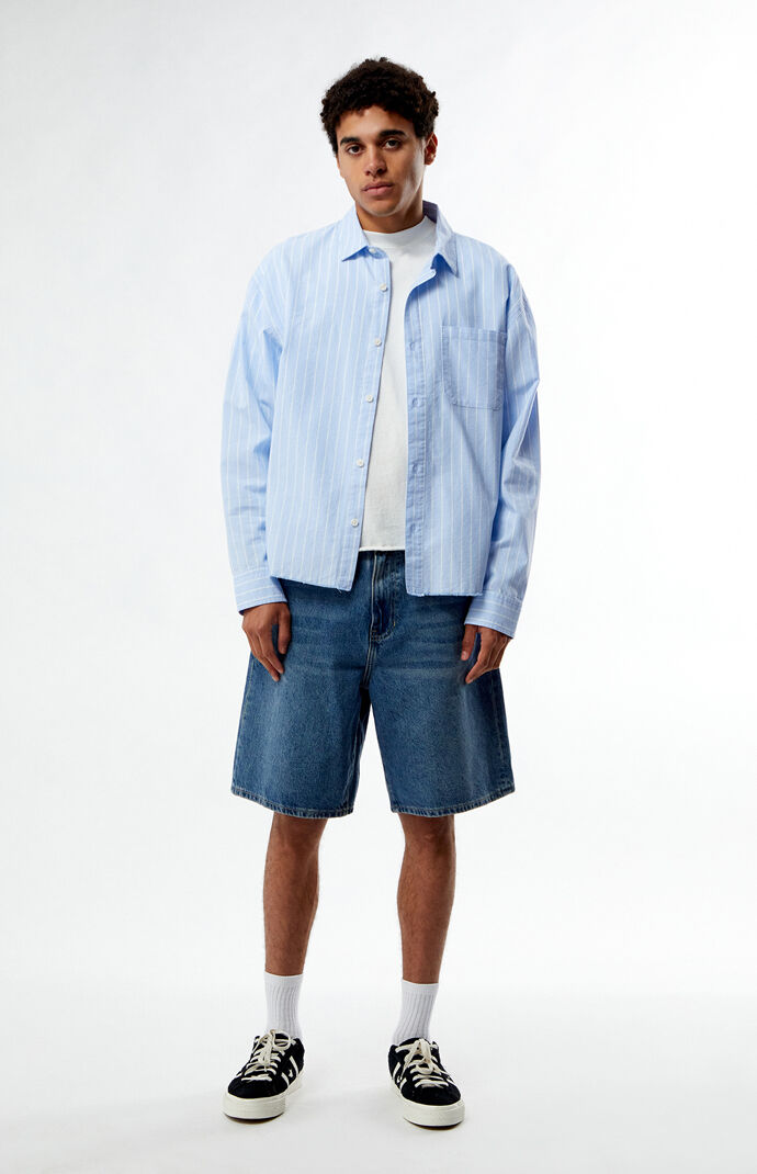 Pacsun Striped Oxford Button Down Long Sleeve Shirt