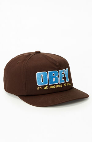 Abundance Snapback Hat image number 1