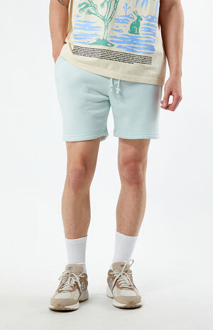Light Blue Fleece Volley Shorts image number 2