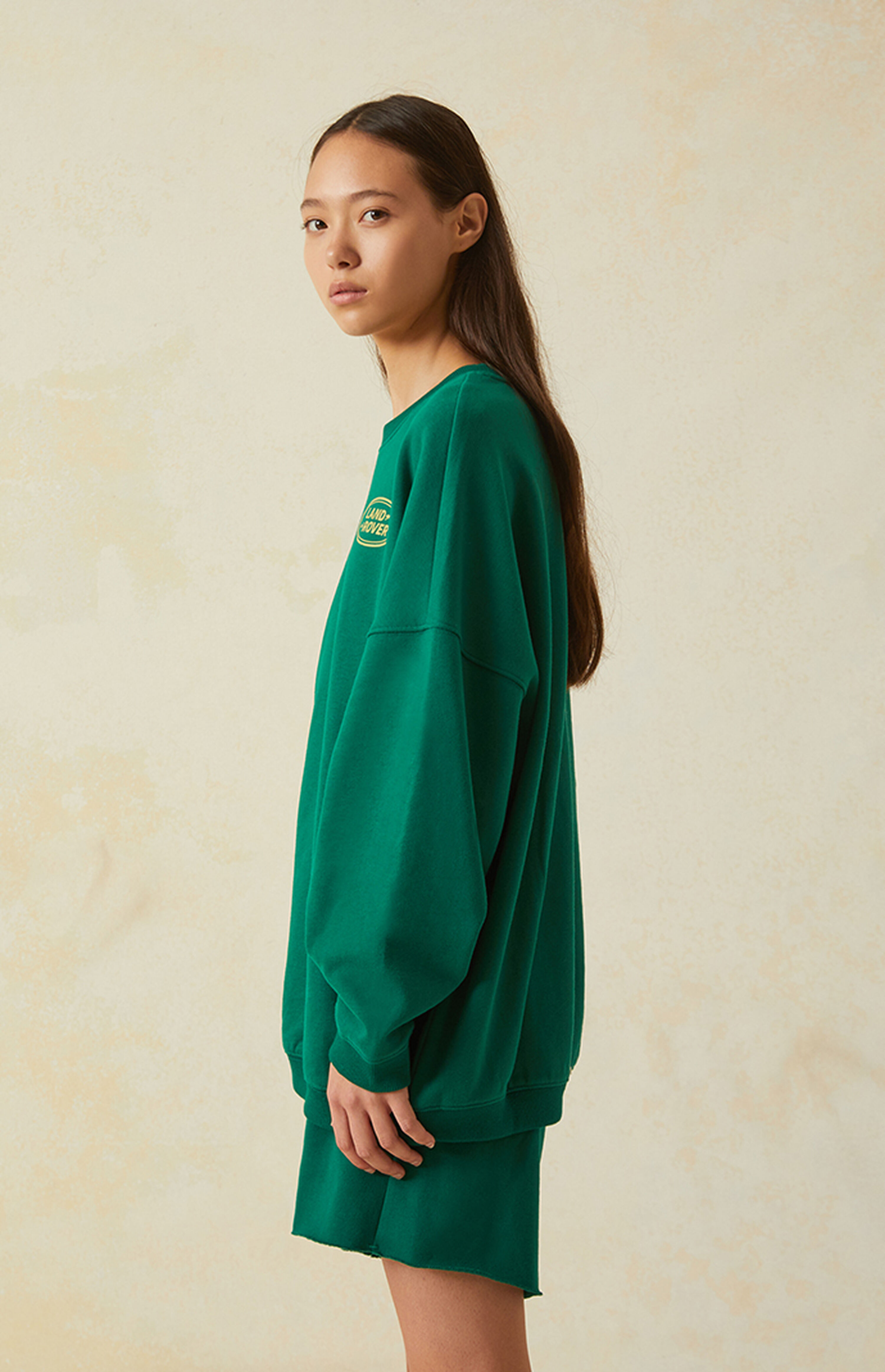 Land Rover Logo Classic Crew Neck Sweatshirt PacSun