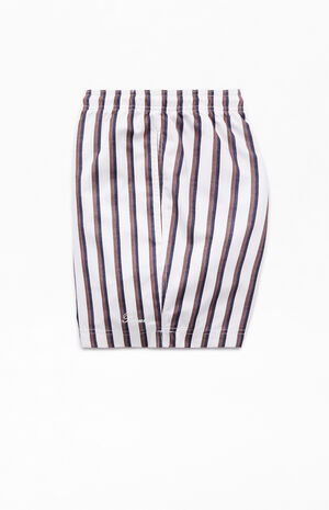 Baja Striped 4.5 Swim Trunks image number 3