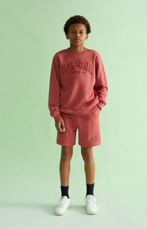 Embroidered Sweat Shorts image number 6