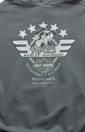 2000s Harley Davidson Pullover Hoodie image number 2