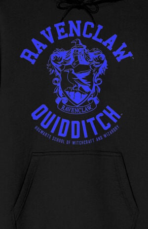 Bioworld Harry Potter Ravenclaw Hoodie PacSun