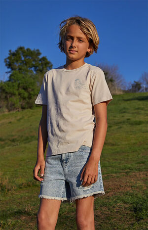 Ripped Denim Shorts image number 1