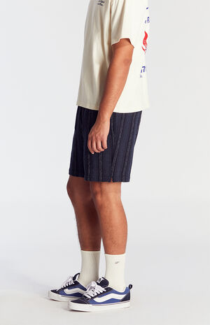 Navy Striped Textured Volley Shorts image number 3