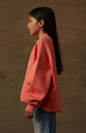 Coral Crew Neck Sweatshirt image number 3