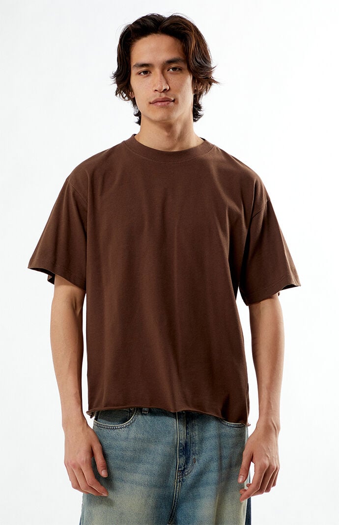 Pacsun Brown Premium Cropped T-Shirt