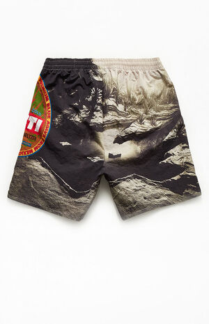 Cacti Oasis Shorts image number 2