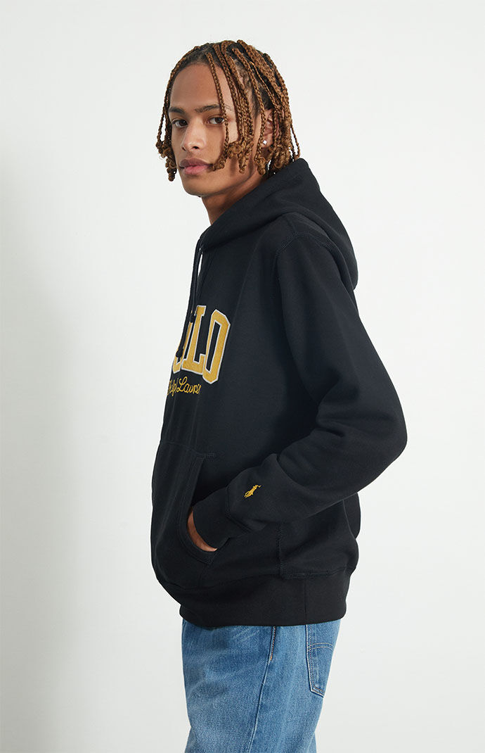 Champion sweater pacsun ralph top lauren