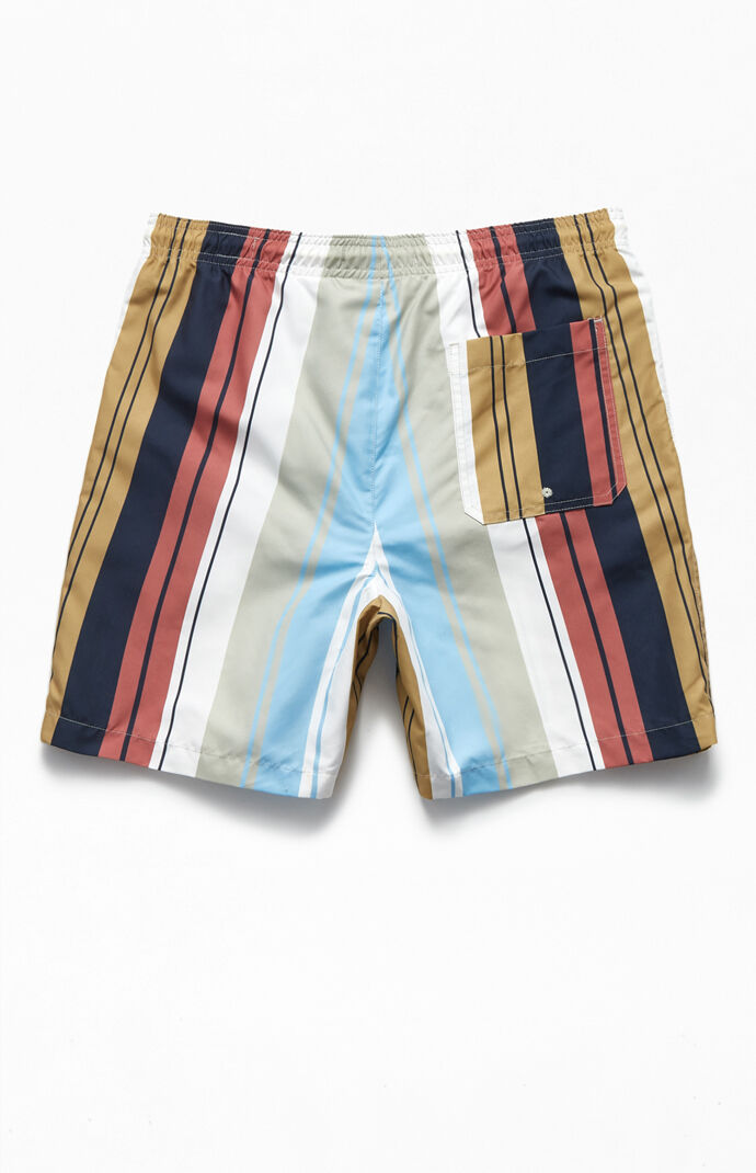 Vertical Multi Striped 17" Swim Trunks