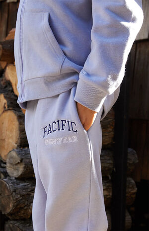 Pacific Sunwear Embroidered Sweatpants image number 6