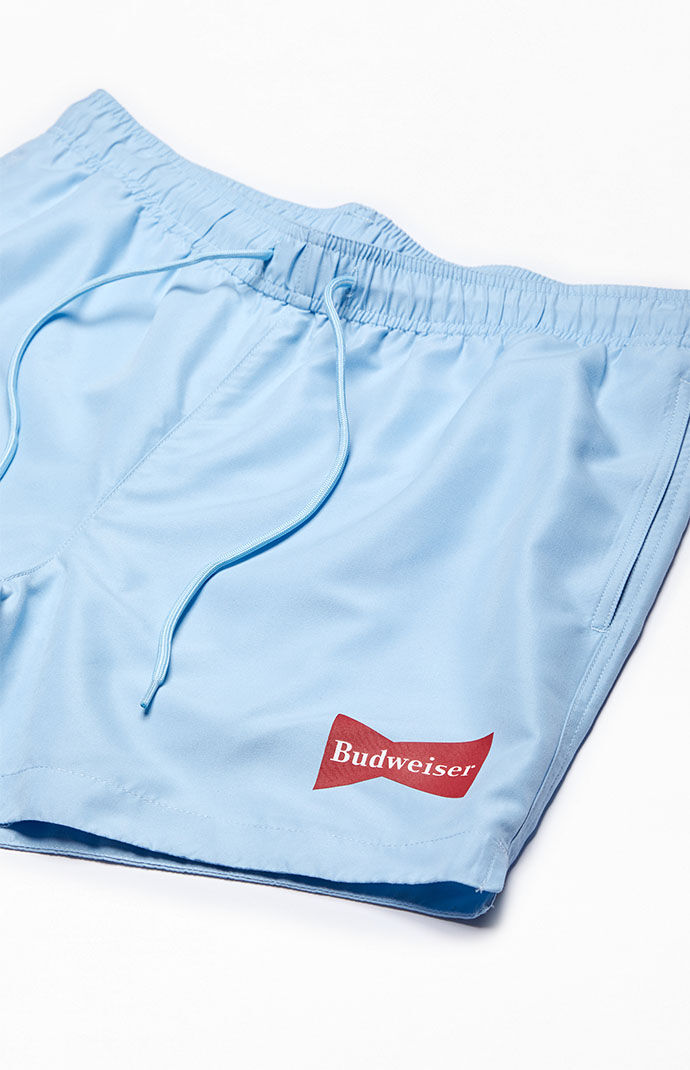 Pacsun mens 2025 swim shorts