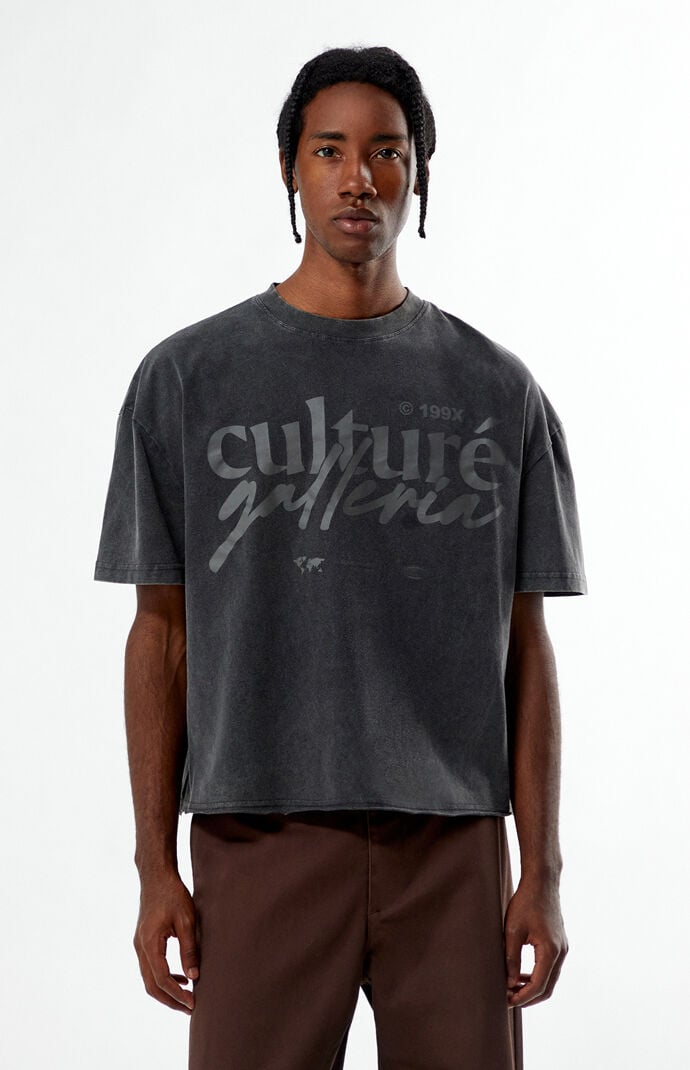 Pacsun Culture Galleria Cropped T-Shirt