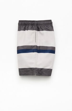 Pierre Striped Eco 4.5" Swim Trunks image number 3