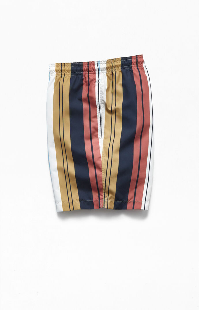 Vertical Multi Striped 17" Swim Trunks
