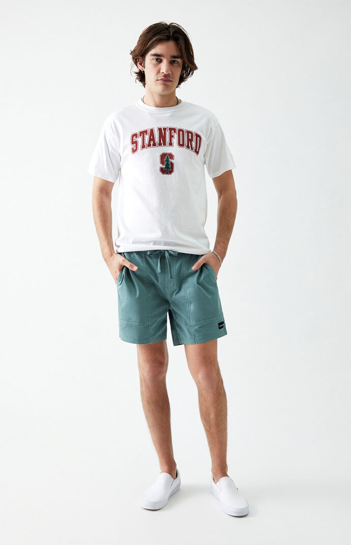 Vintage Wash Volley Shorts