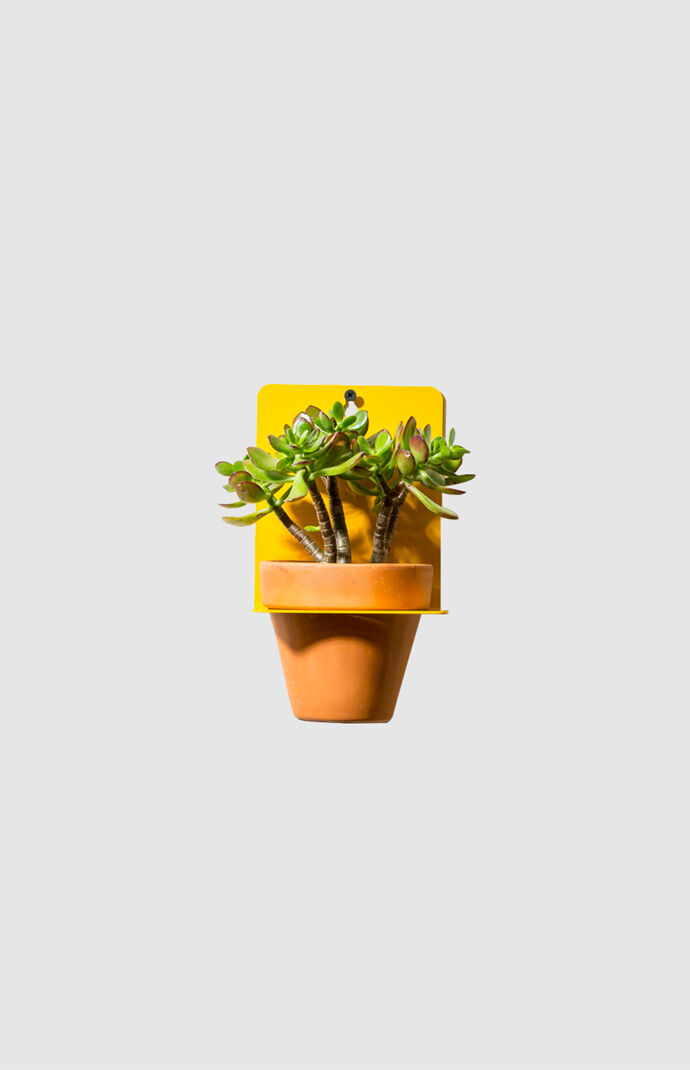 Yellow Sheet Metal Wall Planter