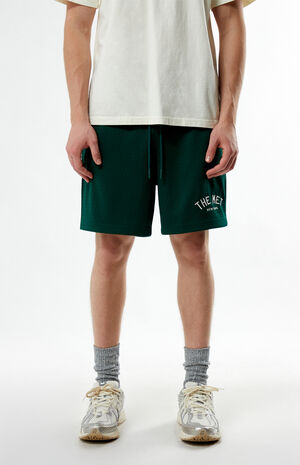 x PacSun Academy Mesh Shorts image number 5