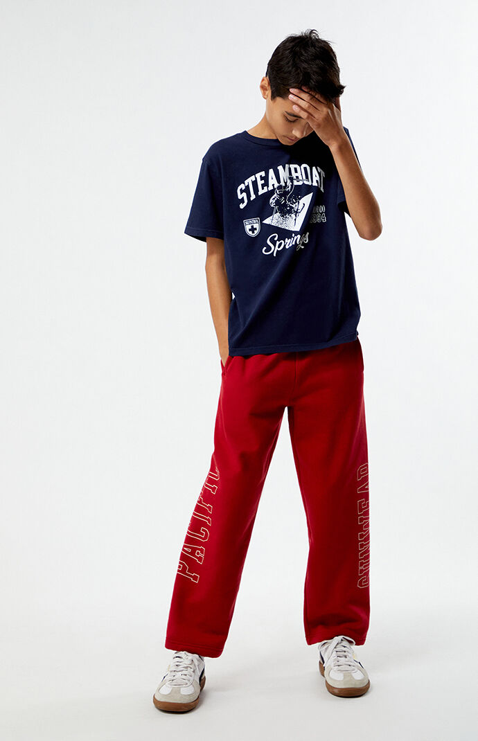 PacSun Kids Pacific Sunwear Baggy Sweatpants | PacSun