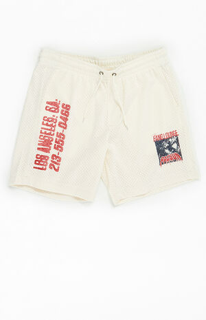 Fang Lounge Mesh Basketball Shorts