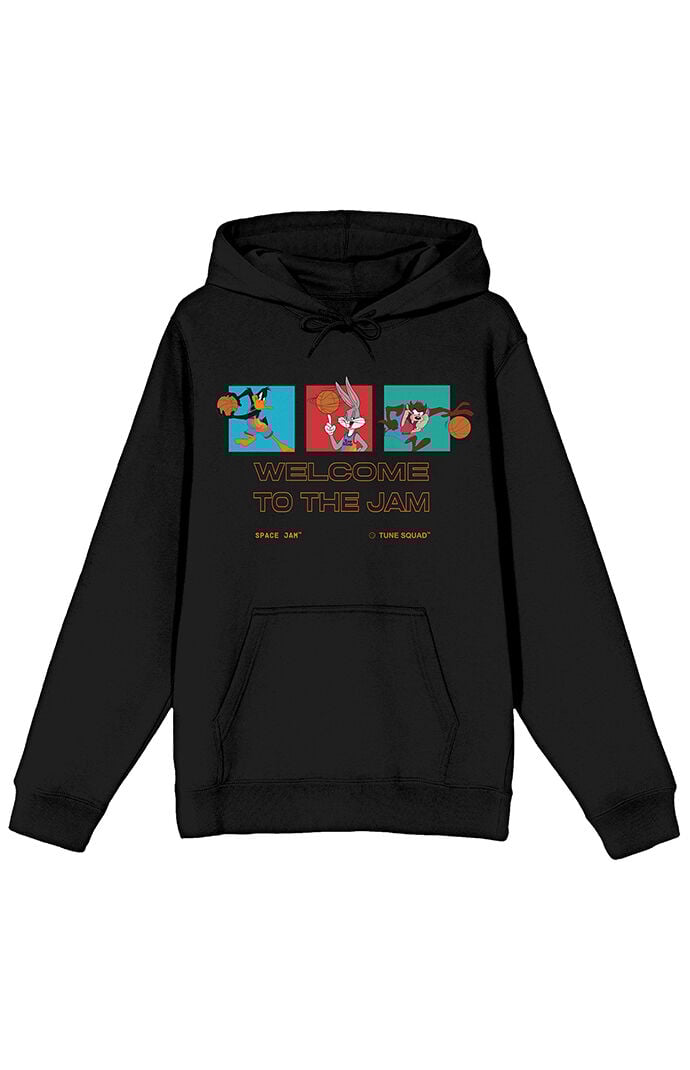 Tune squad on sale hoodie pacsun