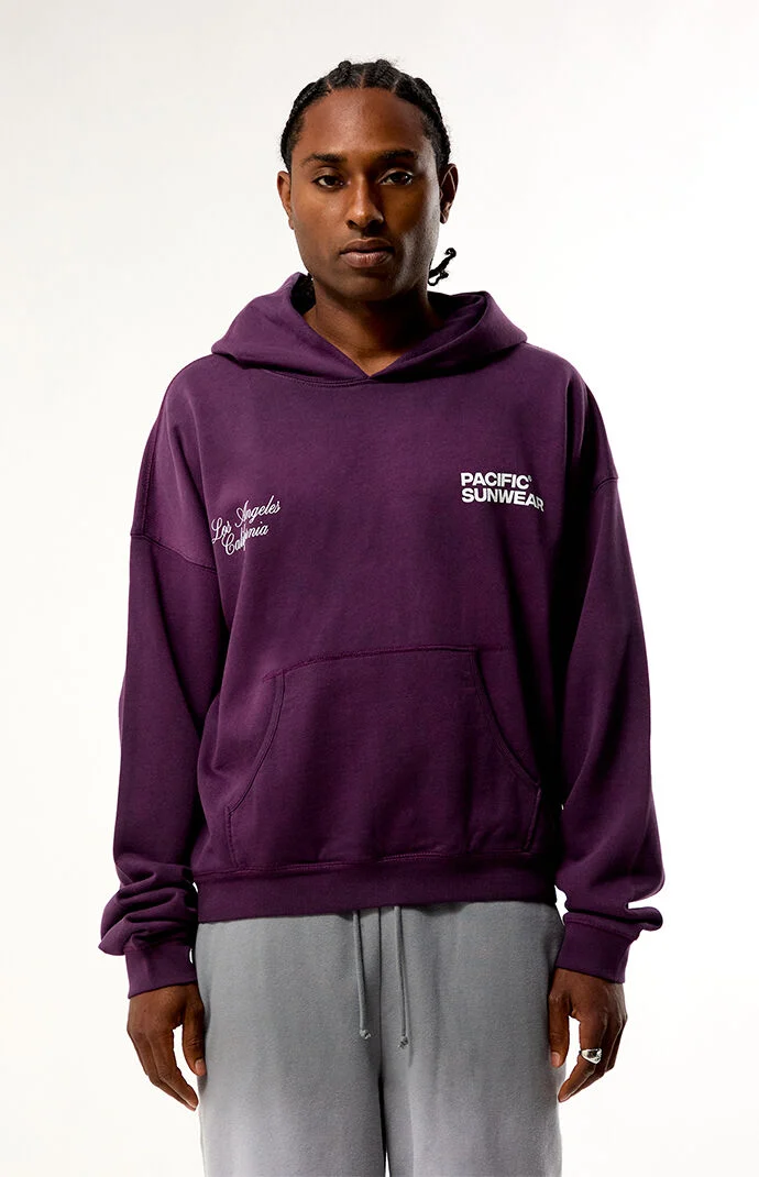 Pacsun Purple Terrain Hoodie