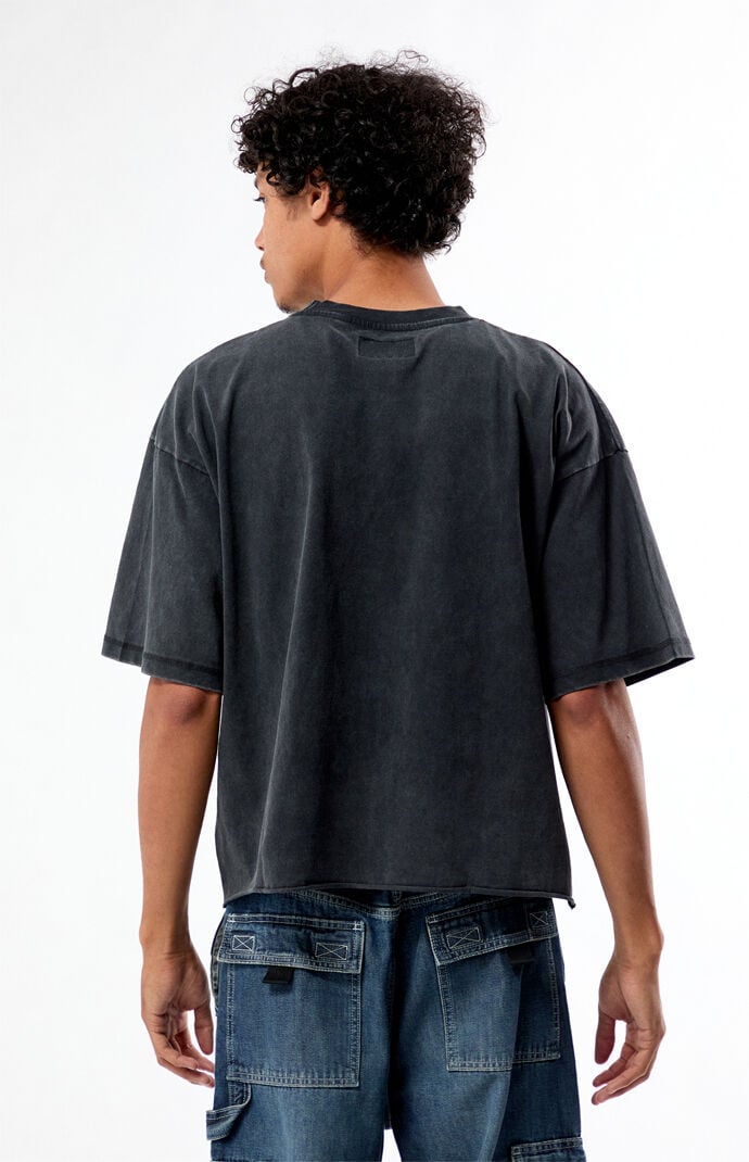 Pacsun Barbed Skull Cropped Boxy T-Shirt