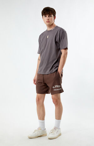 By PacSun Auto Body Sweat Shorts image number 3