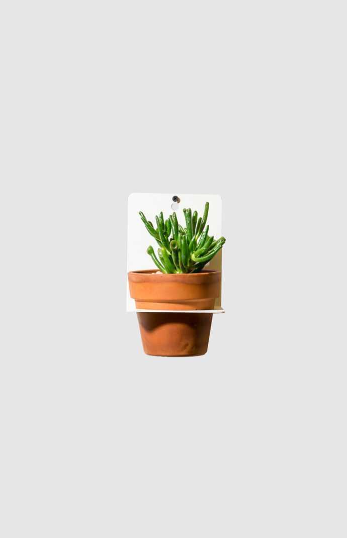 White Sheet Metal Wall Planter
